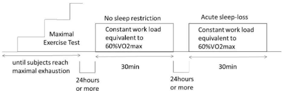 Figure 1. Schematic diagram of the experimental protocol 