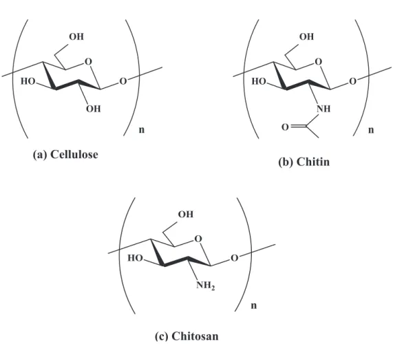 Figure 1. Chemical structure of (a) cellulose, (b) chitin, and (c) chitosan.   