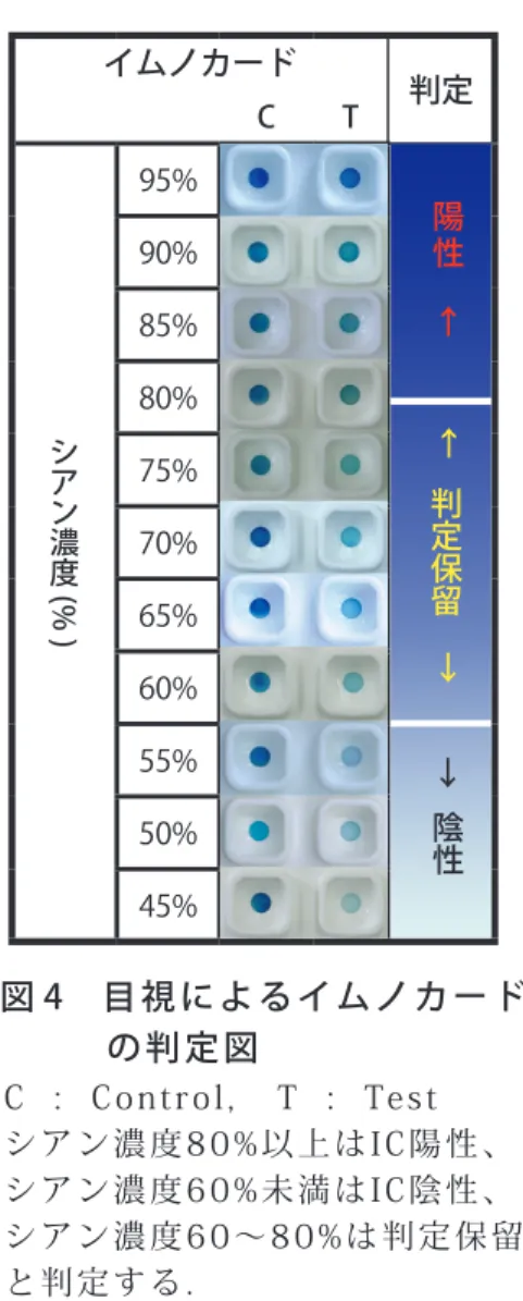 表  4　 PA抗体価カットオフ価設定のための評価IC のシアン濃度 シアン濃度区分60%未満 60 〜 80% 80%以上判定陰性判定保留陽性症例数 (n=125)395729陽性判定保留陰性↑↑↓表 3　判定図よる全例の陽性、陰性、　　   判定保留の区分　　　　　　Ⅲ 