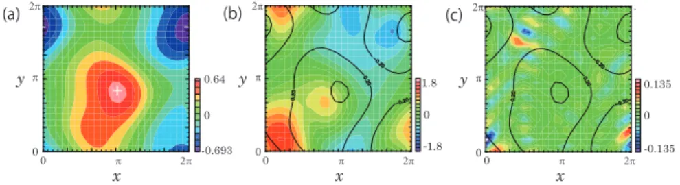 Fig. 2.4: Stream functions at t = 1.0 × 10 4 of (a) solution, Lyapunov vectors corresponding to (b) λ 1 and (c) λ 200 at R/R cr = 20.0