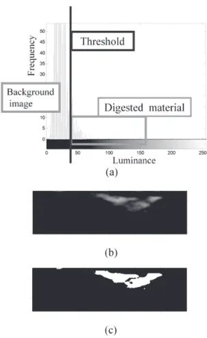 Fig.  5      Mask  extraction  of  analytic  area.  (a)  Histogram  of  raw  B-mode  image