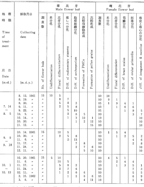 Table 15. hitation and deve10pment of f10wer buds of Crerpι οη 9T'α  ′ apο 2ど ca in the casc of treatment with gibberellin* 処   時 Ｏｆ Ｔｉｍｅ 嚇 ｍｅｎｔ 月   日 Date (rn td.) 理 期 採取月 日 COllectingdate (mdy.) 雄   花   芽 Male f10wer bud 雌   花   芽 Female flOwer bud調査数り０声