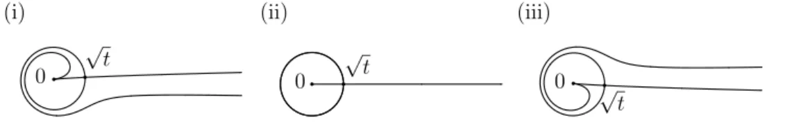 Figure 2: Configuration of Stokes curves of (SL III 0 (D8) ) in the case of (i) arg t > 0, (ii) arg t = 0, and (iii) arg t < 0.