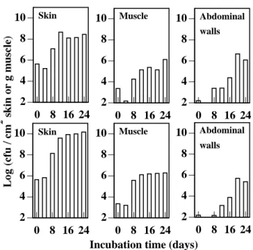 Fig. 2-2.  Total viable count in the skin, the inner layer of muscle, and the abdominal walls of mackerel during storage in ice (upper) and at the temperature of ice (lower) in Experiment II