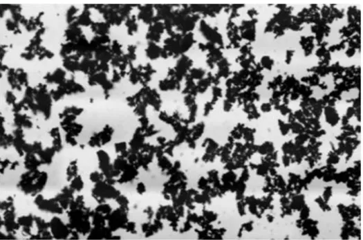 Fig. 4 (a) A micrograph of palm activated charcoal under bright field   illumination on a light microscope