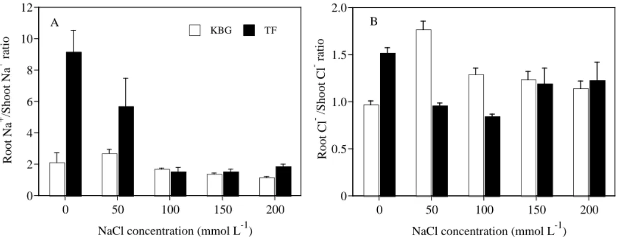 Figure  6 Root Na + /shoot Na +  (A) and root Cl – /shoot Cl –  (B) ratios of KBG and TF at d ifferent NaCl concentrations