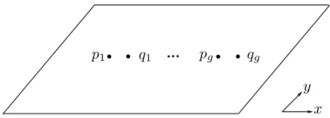 Figure 2.4. The standard pairs of points (p 1 , q 1 ), . . . , (p g , q g ) on [ − 1, 1] 2 