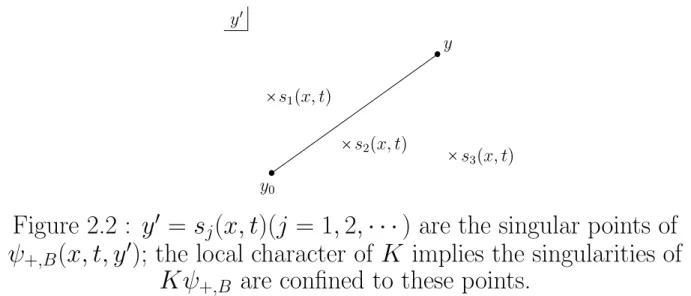 Figure 2.2 : y 0 = s j (x, t)(j = 1, 2, · · · ) are the singular points of ψ +,B (x, t, y 0 ); the local character of K implies the singularities of