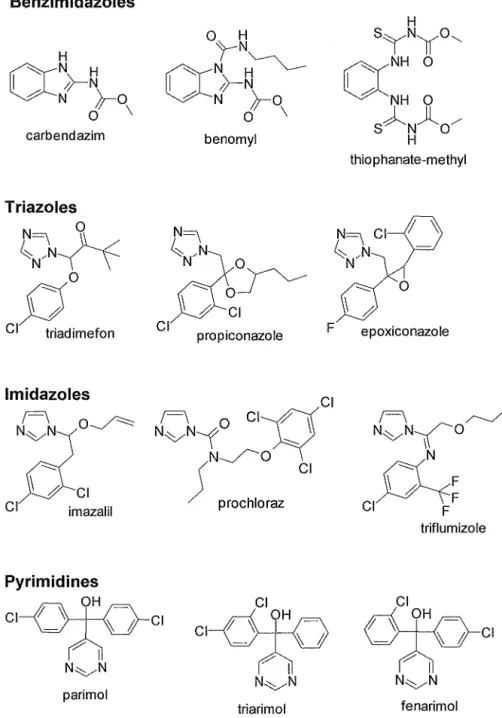 Fig.  1-2-1.  Chemical structure of specific fungicides (Part 1). 