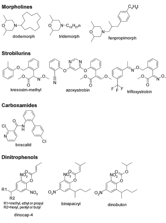 Fig.  1-2-2.  Chemical structure of specific fungicides (Part 2). 