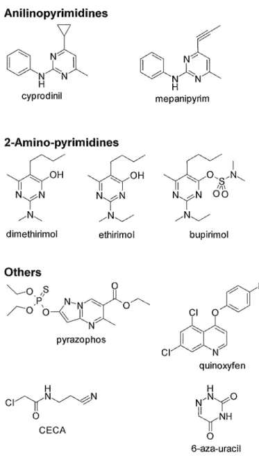 Fig.  1-2-3.  Chemical structure of specific fungicides (Part 3). 