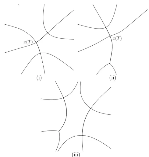 Figure 4.1: Example of configurations of relevant Stokes curves of (1.1.11.a) etc. in Case Ia (i), Ib (ii), and II (iii)