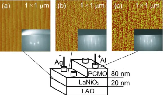 図 2.16 素子構造と (a)LAO, (b)LNO と (c)PCMO の AFM 像及び RHEED パターン