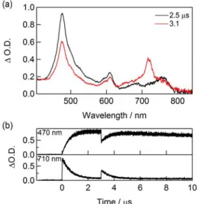 Fig. 1. (a) Transient absorption spectra of NDI  (1.3 mM) in DMF in the presence of PI (100 mM)  at 2.5 and 3.1 s after electron pulse irradiation  during the pulse radiolysis – laser flash photolysis