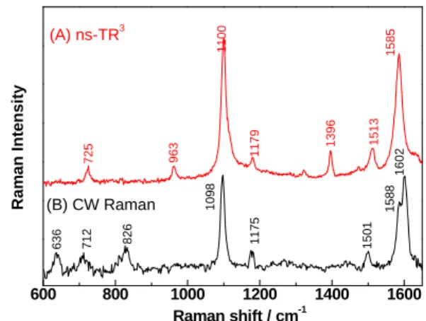 Fig. 3. (A) ns-TR 3  spectrum observed at 500 ns after a 8-ns  electron pulse during the pulse radiolysis of MTP (5 mM) in  N 2 O-saturated aqueous solution containing NaBr (100 mM)  and (B) steady-state (CW) Raman spectrum observed for  MTP in aqueous sol