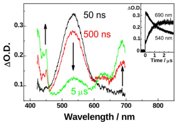 Fig. 3. Transient absorption spectra observed at 50 ns,  500 ns, and 5 s after an electron pulse during the  pulse radiolysis of   NpSeSe  Np in MTHF at 175 K