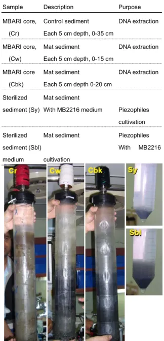 Table 4.7. List of the mat sediments used in this experiment.