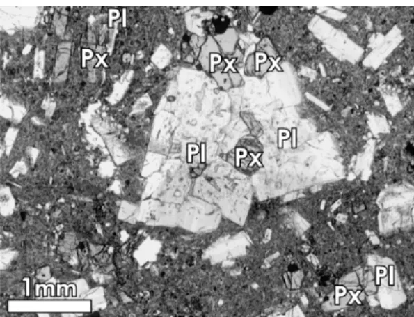 Fig. 1 . Pyroxene (Px) enclosed in plagioclase (Pl) phenocryst observed in the pumice under an optical microscope.