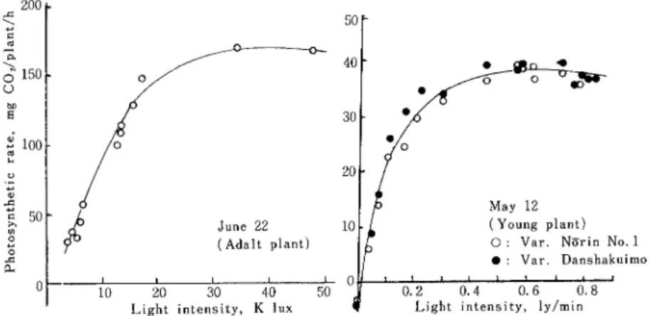 Fig。  3 Compraison with light― photosynthetic curves of leaf under sun light and artificial light(left), and upper leaf and lower leaf existing in potato pOpulation
