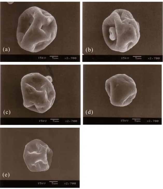 Figure 14. Scanning electron micrographs of spray-dried rice flavor powders    of different α -CD and HBCD compositions