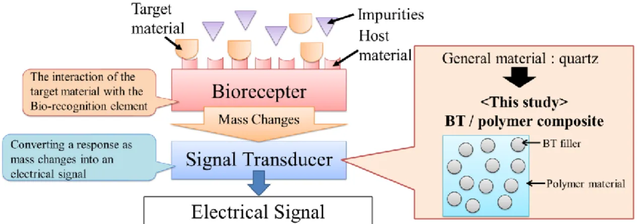 Fig.  2-1  Illustration  of  the  application  of  the  ceramics  /  polymer  composites  (the  piezoelectric  biosensor).