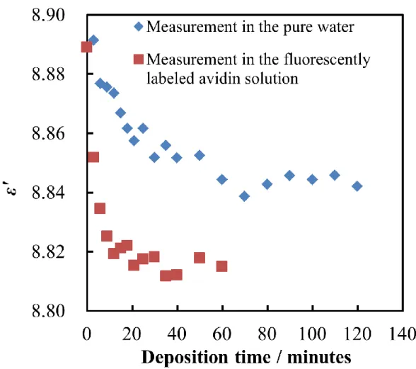 Fig. 2-12 Relationship the deposition time and the ε′ in water and in avidin solution