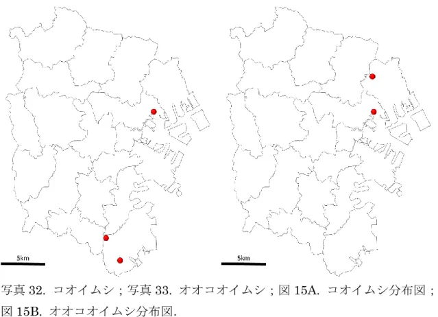 図 15B.  オオコオイムシ分布図． 