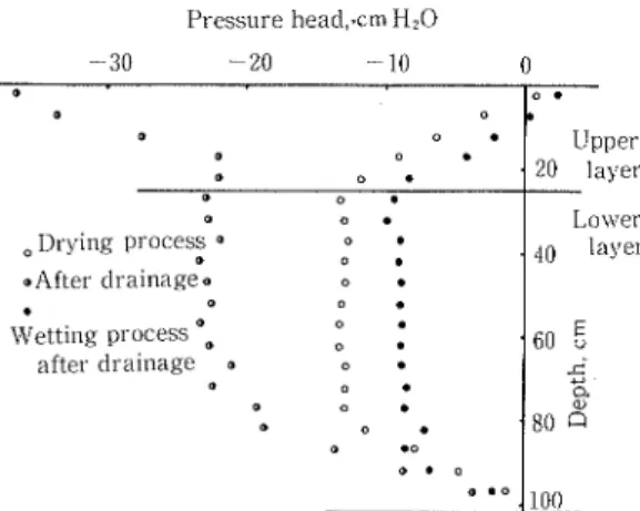 Fig 35  Coコ nparison bet、 veen pressure head profile ofthe wetting process and that of the drying process 水過程 を経 て到達 した圧力分布の定常値 を Fig 3.5に ● 印で示す。 この場合 ,定 負圧値 は 9 Cm程 度であ り ,脱 水過程の場合 は定負圧値 13 Cmよ りもその値 は小 さ くな っている。 また ,吸 水過程の負圧値 9Cmは ,Fig 3.3に 示 した吸 水過程の流