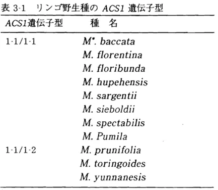 表 31 1 リンゴ野生種 の ACSl 遺伝子型 ACSl 遺伝子型 種 名 1‑ 1/1‑ 1 i‑ i/i‑ 2 M ' .bac c at aM.tlorentl ' naM.tlorL'bu ndaM.hupehens1 ‑ sM.sargent1‑1‑M.sJ'ebold)')IM.spectab)'h'sM.PumL'1a M