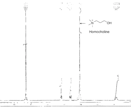 Fig. 2.  1 1 H NMR spectrum of chemically synthesized 3-N-trimethy lamino-1-propanol  (Homocholine) 