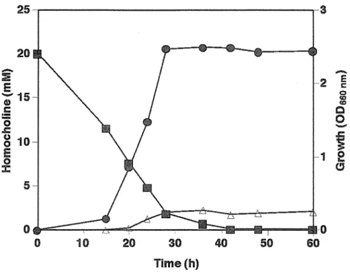 Fig.  2.  7  Time  course  study  of  the  growth  and  metabolism  of  homocholine  by  Rhodococcus sp