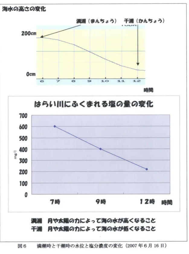 図 6 満 潮 時 と 干 潮 時 の 水 位 と 塩 分 濃 度 の 変 化 ( 2 0 0 7 年 6 月 1 6 日 )