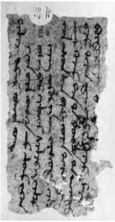 Fig. II