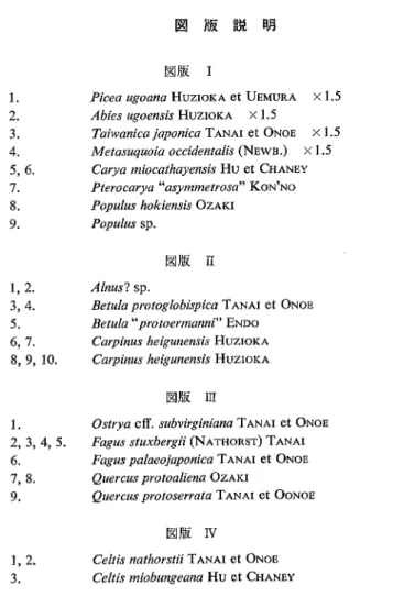 図 版 説 明