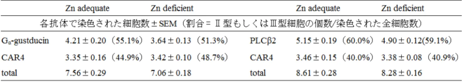 表 2.  亜鉛欠乏によるⅡ型およびⅢ型細胞数の変化  ここまで酸味感受性の変化について検討してきたが、 亜鉛欠乏の影響はほとんど見受けられなかった。そこで 次に、食後効果が嗜好性を左右した可能性について検討 した。  本研究で酸味物質として用いたクエン酸は、エネルギ ーを作り出すクエン酸回路の基質などとして生体で利用さ れている。また、クエン酸回路内には亜鉛酵素であるアコ ニターゼやリンゴ酸デヒドロゲナーゼが存在することも知ら れており亜鉛の欠乏によりなんらかの障害が生じている可 能性がある。そのため、ク