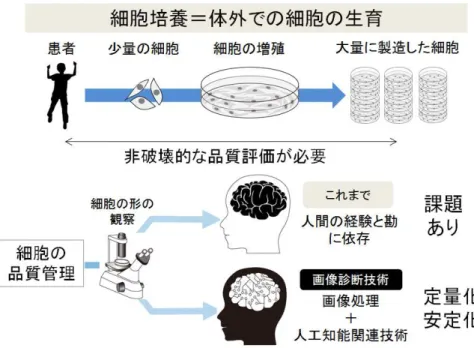 図 3 ：細胞 養 細胞品質管理 過去 未来 近年 画像処理や画像診断 人工知能 Artificial  Intelligence ：以 AI 関連技術 融合 革新的 逭 あ う 最新 画像診断 再生医療や創薬開 用い 細胞 製造 行う施設 い 細胞 壊 い 経済的 技術 品質管理 や 定性 飛躍的 向 可能性 期待     ッ 画像処理ソ や測定支援 開 販売 中心 企業 2015 年 医療用診断支援画像処理ソ KOACAD 変形性膝関節症診断支援ソ ： 医療機器認証番 ： 227AGBZX0006300