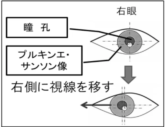 図 2.6  瞳孔とプルキンエ・サンソン像の中心位置の算出  図 2.7  5 点較正法  2.7.2 思考過程の内容: 発話思考法  第 3 段階では，模擬患者・模擬病室画像観察後に Talk EyeⅡを用いて計測した眼球運動の視線 軌跡を見ながら，模擬患者・模擬病室画像観察時の思考を声に出して語ってもらった．  模擬患者・模擬病室画像観察時の思考を声に出して語る方法として， 「課題を達成する間に頭に 浮かんだことをすべて声に出して語る」発話思考法を用いた（海保,  原田, 1993, p.82） ．発話