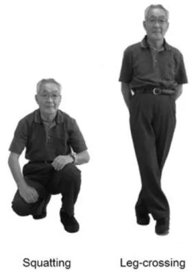 Figure 1.1. Examples of physical counter maneuvers 
