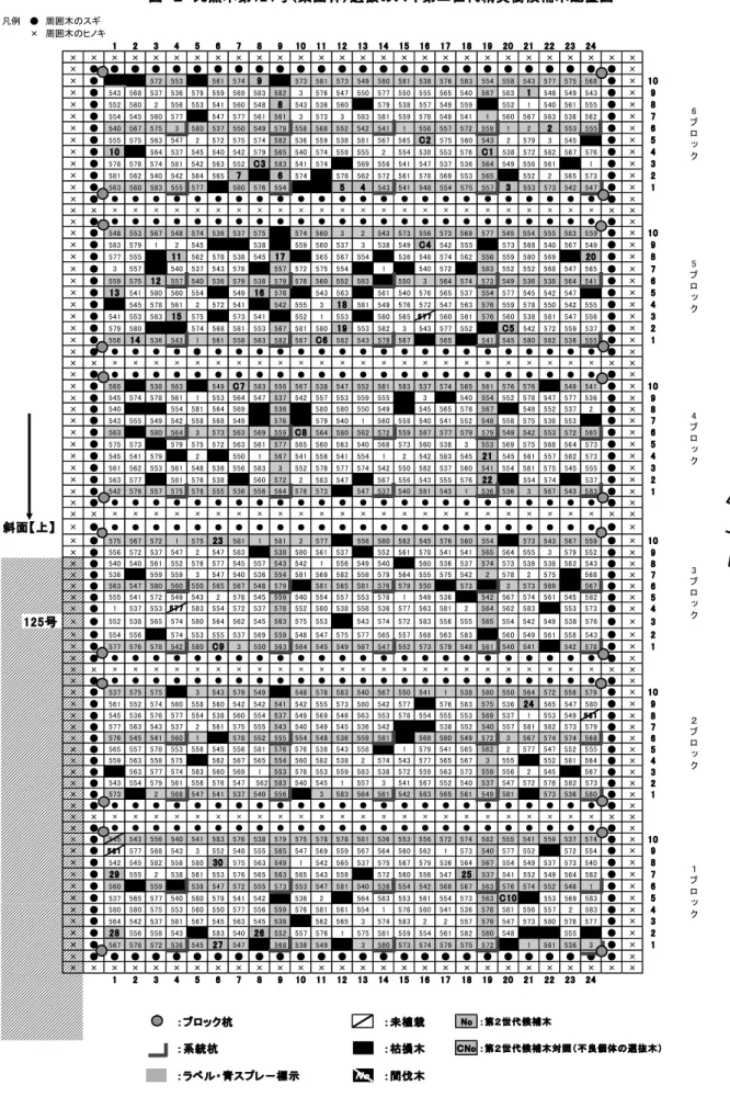 図　２　九熊本第124号（集団林）選抜のスギ第二世代精英樹候補木配置図 凡例 　●　周囲木のスギ 　×　周囲木のヒノキ 1 2 3 4 5 6 7 8 9 10 11 12 13 14 15 16 17 18 19 20 21 22 23 24 × × × × × × × × × × × × × × × × × × × × × × × × × × × × × ● ● ● ● ● ● ● ● ● ● ● ● ● ● ● ● ● ● ● ● ● ● ● ● ● ● × × ● 572 553 561 574 9