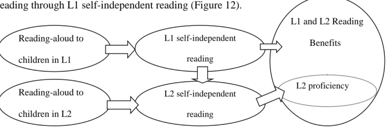 Figure 12.  L1-L2 Mutual model. 
