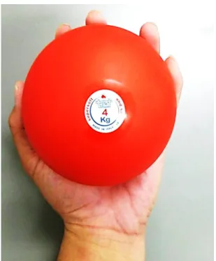 図  24  室 内 用 ソ フ ト ゴ ム 製 砲 丸 4.00kg 