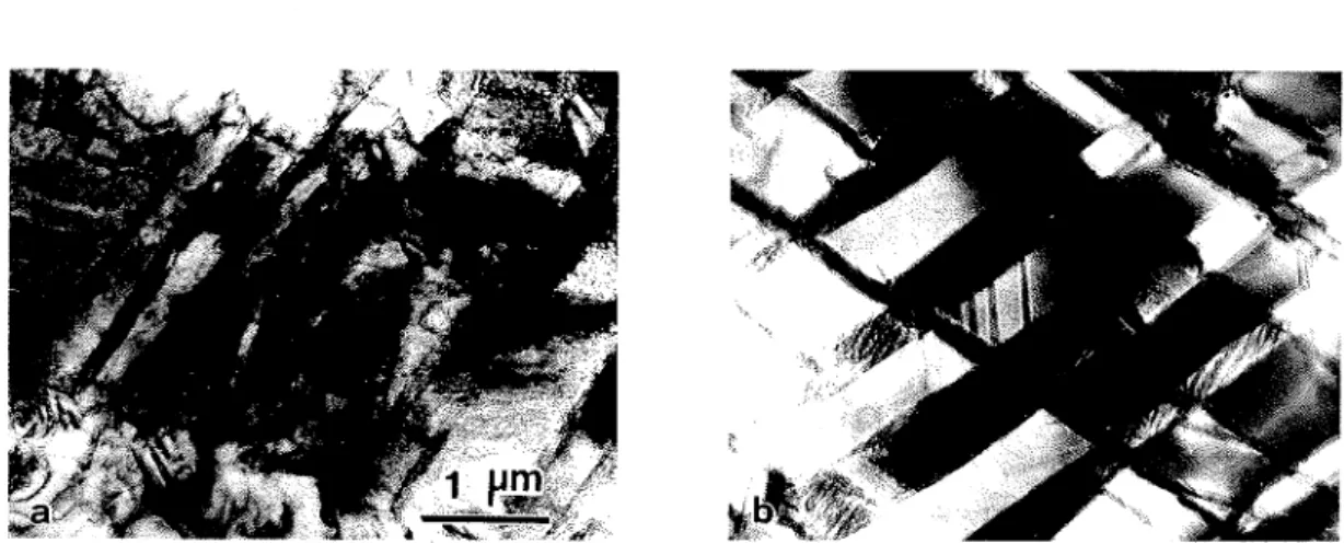 Fig。 9 (a),(b) Electron micrographs of arc‐ 出 elted Zr‑2V prepared by ことがわか つた 。 次に ,電 顕試料の作製 を試 み た 。試料 はアー クメル ト された Zr‐ 2Vで あ り ,300μ れ に切 り出 したものをダ イヤ モン ドデ ィスク (粒 径 30,9,6μ 田 )を 用 いた手研磨 によ り厚 さ 30μ 日程度 に したものであ る。この薄片試料 にイオ ンシンニ ング装置で約60時 間の研磨 を施 した。操
