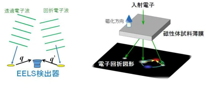 図 2  従来型電子磁気円二色性の実験配置図．左図に示すように二種類の散乱電子 q 、   q’ を検 出器位置で干渉させる。具体的には右図に示すように、電子回折面で赤と青の二種類の 位置で EELS スペクトルを測定し二つの差をとる。 図 3  本研究における測定配置図。試料上をナノ電子ビームで走査し、異なる結晶粒から順次 スペクトルを収集すると、データキューブと呼ばれるデータセットが得られる。これを統計処 理することによって最終的に右上のような信号／ノイズ比の良好なスペクトルと EMCD 信号 が得られ