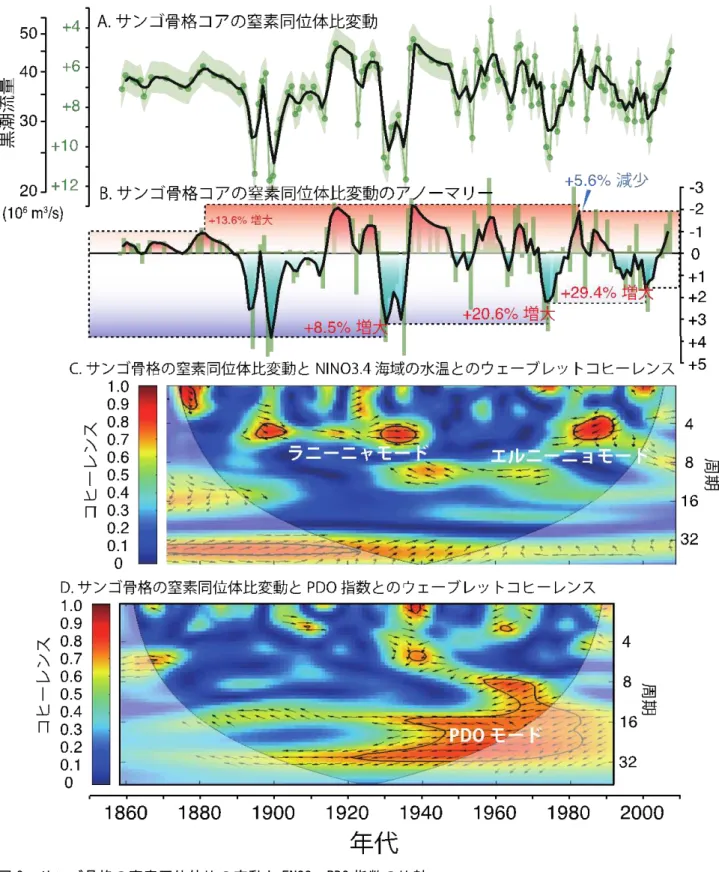 図 2  サンゴ骨格の窒素同位体比の変動と ENSO，PDO 指数の比較  （A）1859 年から 2008 年までのサンゴ骨格コアの窒素同位体比変動。  （B）サンゴ骨格コアの窒素同位体比変動から過去 150 年間の平均値を引いたグラフ。黒潮流量の 増減を示している。  （C） サンゴ骨格コアの窒素同位体比と太平洋熱帯域に定められたエルニーニョ監視海域 （NINO3.4） の水温の同調性を示した図。1900 年代初期のラニーニャ時に黒潮流量が増大し，1960 年代以降エ ルニーニョ時に黒潮流量が増大したこ