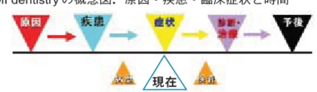 図 12 特定保健用食品での耐酸性層の例CPP-ACP ガムで再石灰化後，