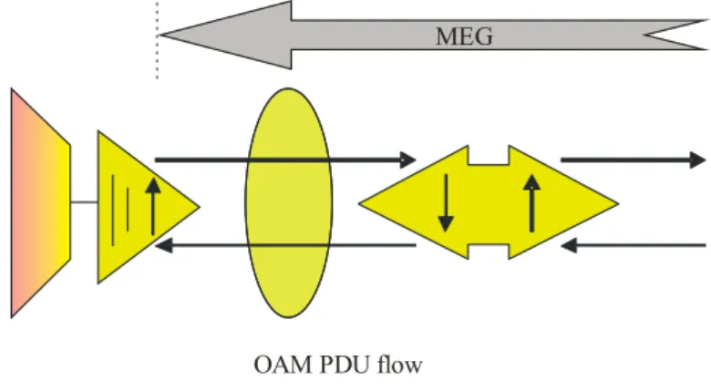 図 6-2 で示した様に、IF 単位の Up MEP を持つ MEG の末端にあるノードは、 「コネクションファンクション」