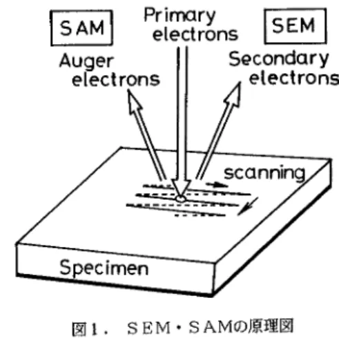 図 2に SEM・ SAM画 像処理システムのブ EXッ クを 写真 1に システムの全景を示す、システムは (A)SA M‑1000S,(B)SAM‑1000S制 御部 ,(C) マイクロコンピュータ部か ら構成され る。 SAM‑10 00S制 御部により SAM‑1000Sか ら SEMoS AMoAESデ ータをデジ タル化 して収集 し、くイクロ コンピュー タ部に転送 して各種データ処理を実行 ,表 示 をする。以下各部について説明する。PrirrlQryetectrons 写真 1. SEM・