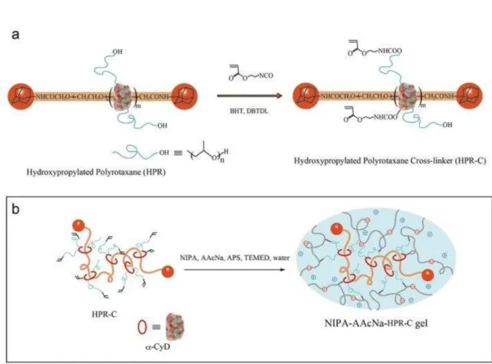 図 可動性 架橋剤を用い 高 子ゲ を調製 方法  a:  ポ タキサン 可動性 架橋剤を合成 