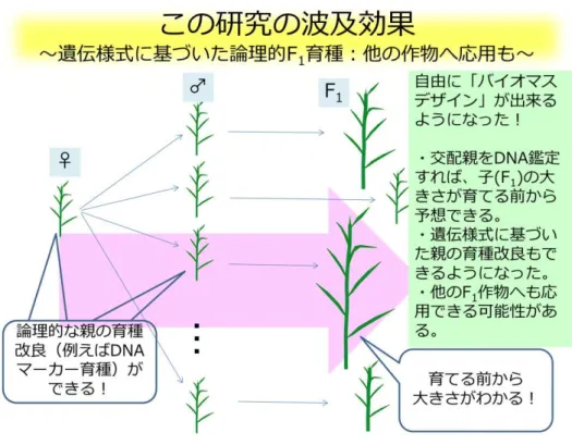 図 5.  こ 研究 波及効果 