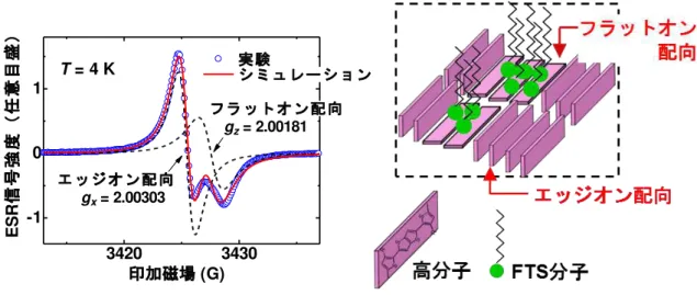 図 3  図 FTS ン さ 高分子薄膜 ESR 信号 ュ ョン 信号分 測定温度： 4 K 磁場 基板 垂直 印 い ESR 信号 異 g 値 共鳴磁場 持 2 成分 分 さ 低磁場側 エ ン配向 高磁場 側 ン配向 領域 生 右図 FTS ン 後 分子配向 模式図 大部分 分子 エ ン配向 保 少数 分子 1% 未満 FTS 分子 作用 分子面 基板 倒 ン配向 図 3  (a)  ESR 信号 得 ン磁化 率 (  ) 温度 ( T ) 依存性 金属状態 ン 磁 化 率 温 度 依 存 い パ ウ 